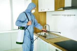  افضل شركة تنظيف في الفلاح