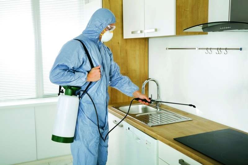 اسعار شركة مكافحة حشرات أبوظبي 