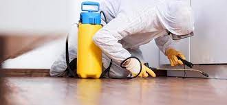 افضل خدمات مكافحة الحشرات