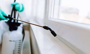 خدمات شركة مكافحة الحشرات ابو ظبي صن وايت